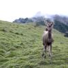 field_featured_image