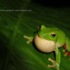 field_featured_image