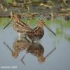 field_featured_image