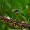 field_featured_image