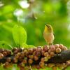 field_featured_image