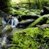 field_featured_image